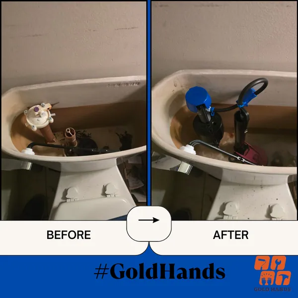 Professional Toilet Repair: Why a DIY Fix Might Cost You More